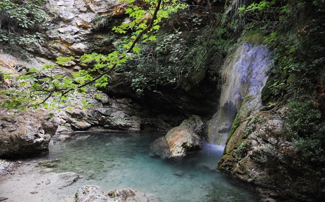 10745561 mylop fonisa 01