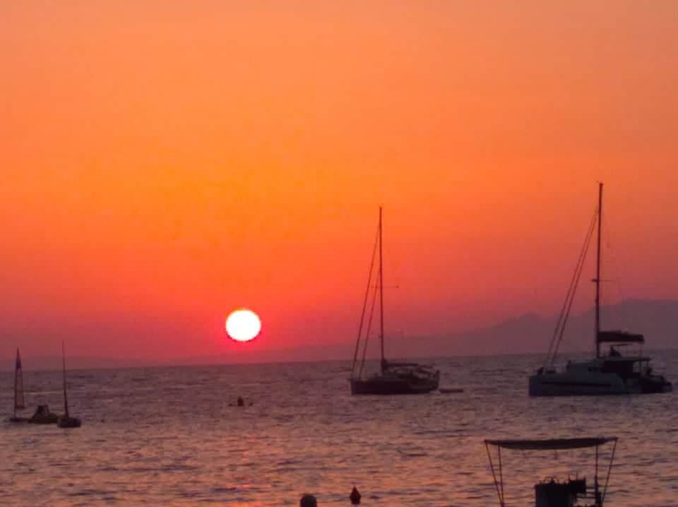 116427682 1186160228389256 8598817869748725664 n