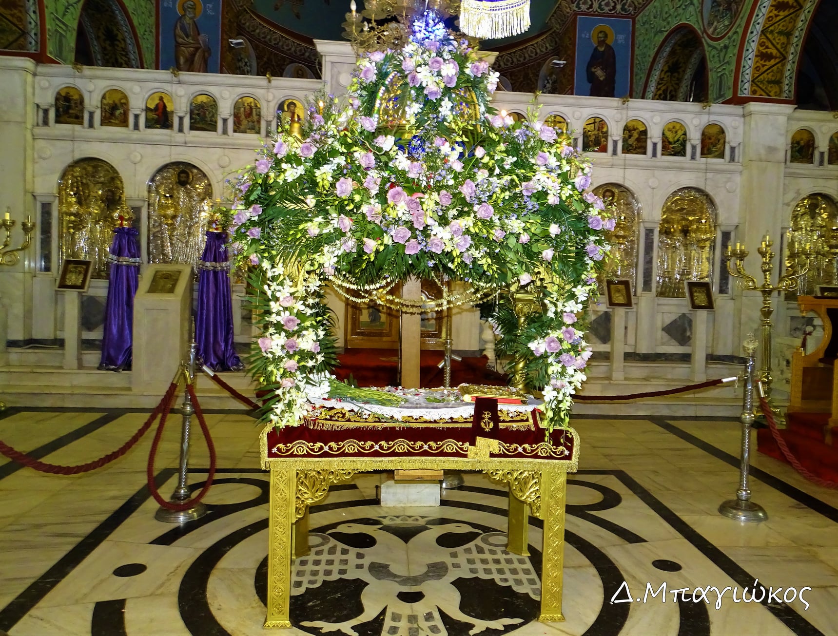 278769260 5034648966600675 5857061277668860146 n