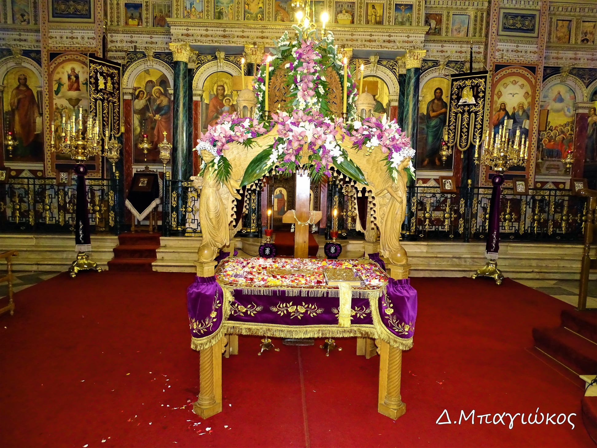 279135985 5034648959934009 9062478255402387255 n