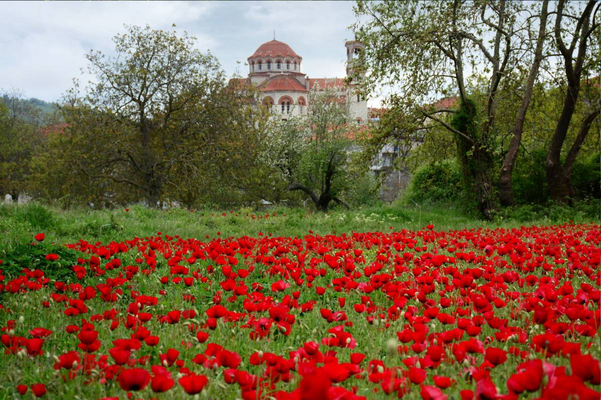 3 60f0285be5d69331884640