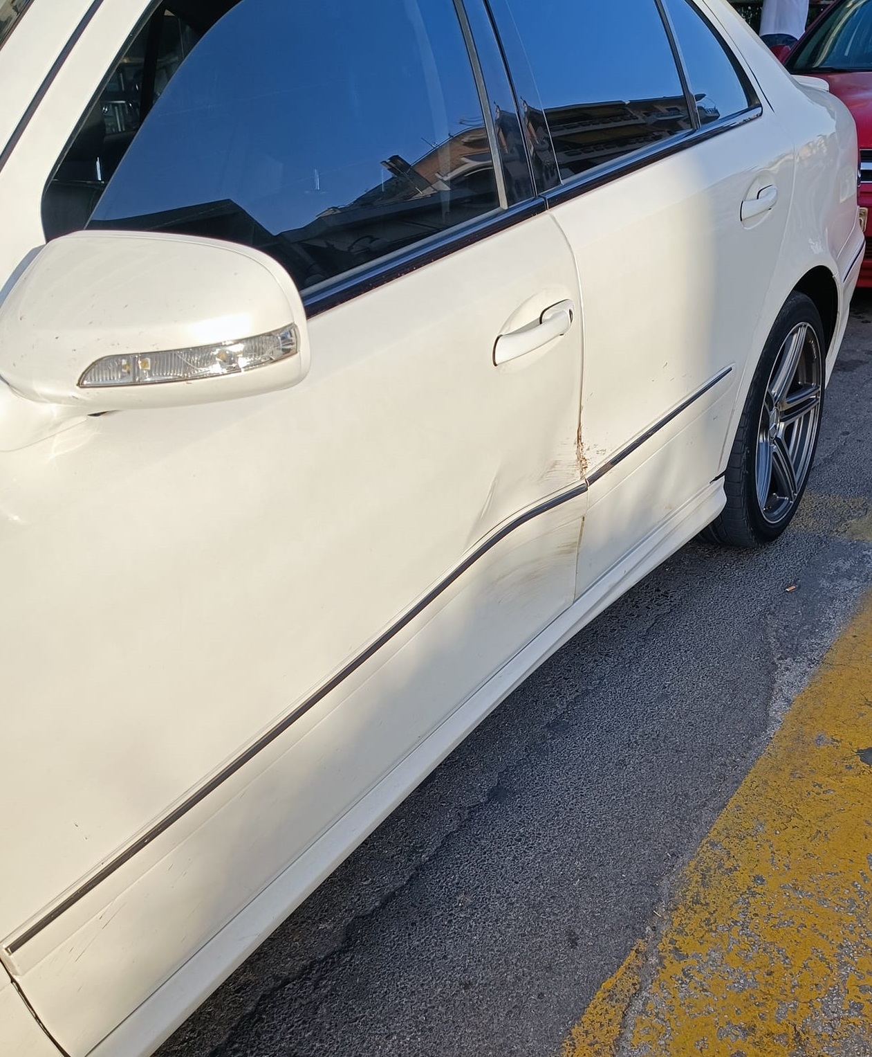 307091582 10228095335190760 5616262047581355519 n