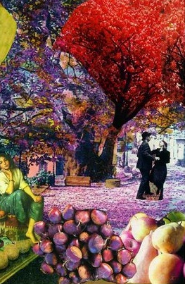 311063260 417153943922159 7824999428428901411 n