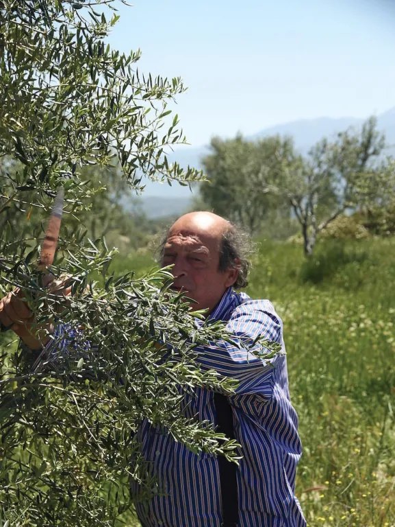 467655406 881506540839043 7374504642177399215 n