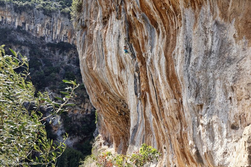 h-angela-eiter-κάνει-αναρρίχηση-στο-κυπαρίσσι-λακωνίας2
