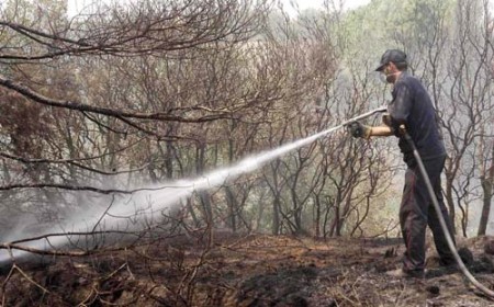Θέσεις εργασίας για πυροπροστασία στο Δήμο Ανατολικής Μάνης