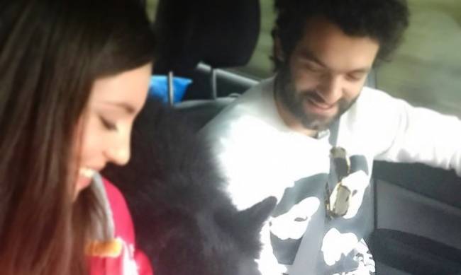 Οικονομάκου στη Λακωνία