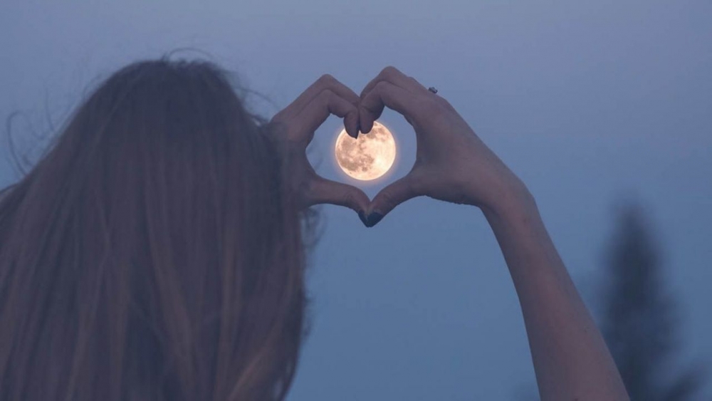 &Phi;&epsilon;&gamma;&gamma;ά&rho;&iota; &tau;&omicron;&upsilon; &Epsilon;&lambda;&alpha;&phi;&iota;&omicron;ύ: &Alpha;&pi;ό&psi;&epsilon; &eta; &pi;&alpha;&nu;&sigma;έ&lambda;&eta;&nu;&omicron;&sigmaf; &tau;&omicron;&upsilon; &Iota;&omicron;&upsilon;&lambda;ί&omicron;&upsilon;