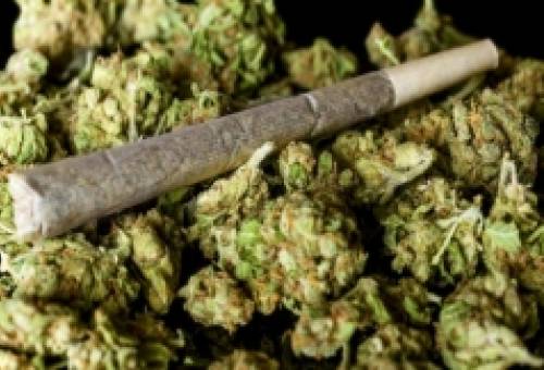 Δυο συλλήψεις για κάνναβη στο Δήμο Σπάρτης