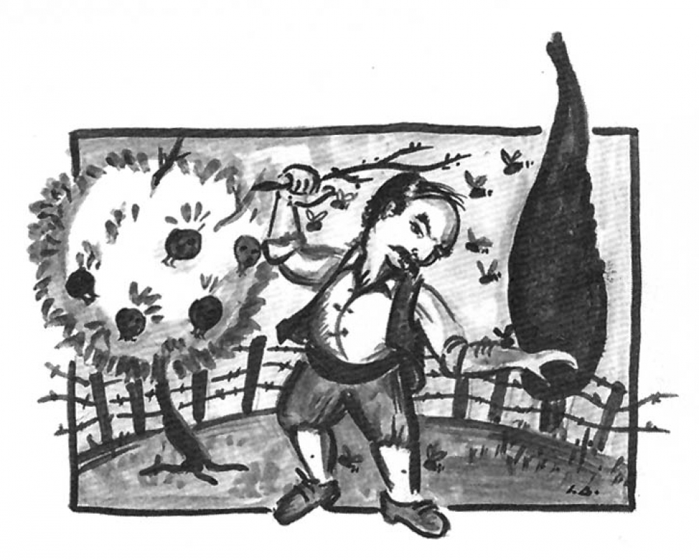 &Tau;&alpha; &rho;ό&delta;&iota;&alpha;