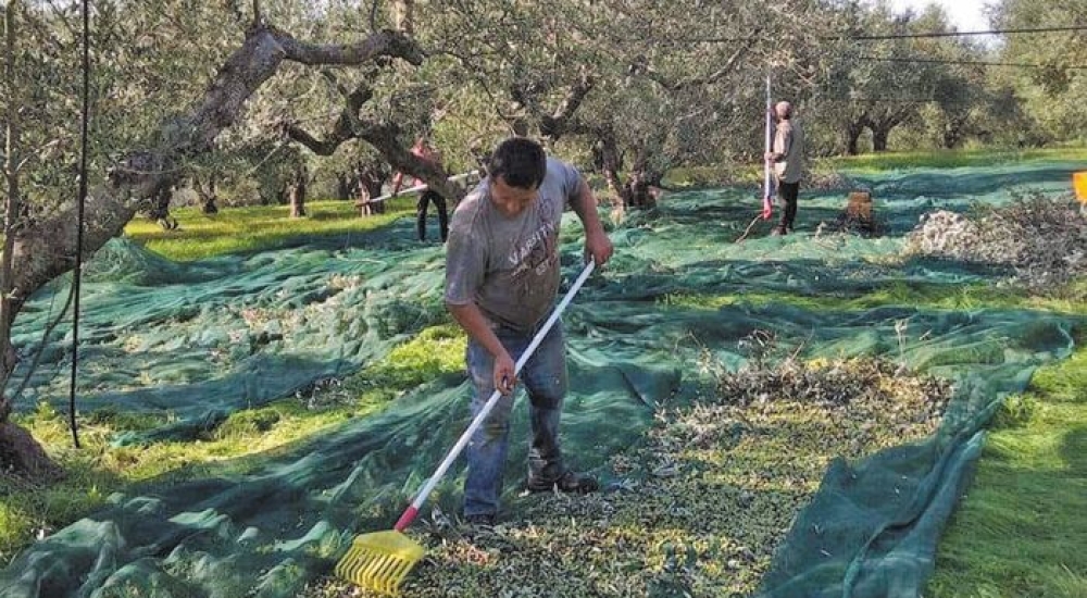 Έ&rho;&chi;&epsilon;&tau;&alpha;&iota; &pi;&alpha;&rho;ά&tau;&alpha;&sigma;&eta; έ&omega;&sigmaf; 30 &Iota;&omicron;&upsilon;&nu;ί&omicron;&upsilon; &gamma;&iota;&alpha; &tau;&eta;&nu; &upsilon;&pi;&omicron;&beta;&omicron;&lambda;ή &alpha;&iota;&tau;ή&sigma;&epsilon;&omega;&nu; &gamma;&iota;&alpha; &epsilon;&rho;&gamma;ά&tau;&epsilon;&sigmaf; &gamma;&eta;&sigmaf;