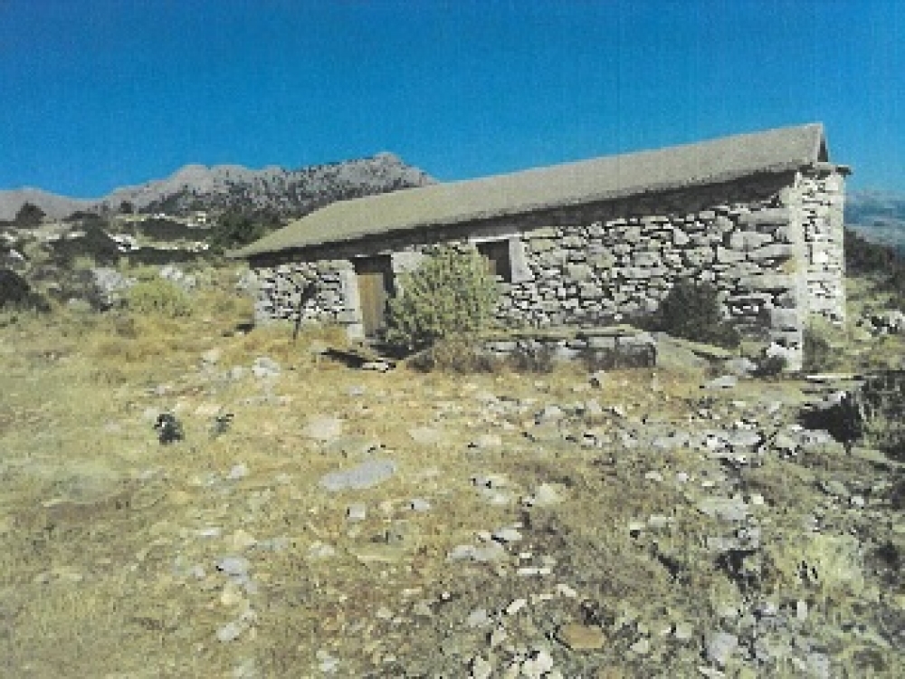 &Lambda;&epsilon;&iota;&tau;&omicron;&upsilon;&rho;&gamma;ί&alpha; &sigma;&tau;&omicron; &epsilon;&xi;&omega;&kappa;&kappa;&lambda;ή&sigma;&iota; &tau;&omicron;&upsilon; &Pi;&rho;&omicron;&phi;ή&tau;&eta; &Eta;&lambda;ί&alpha;