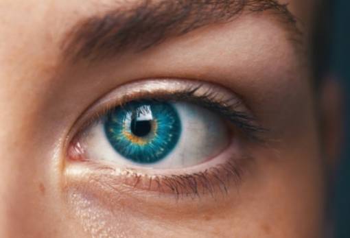 Οι άνθρωποι με μεγαλύτερες κόρες ματιού είναι πιο έξυπνοι