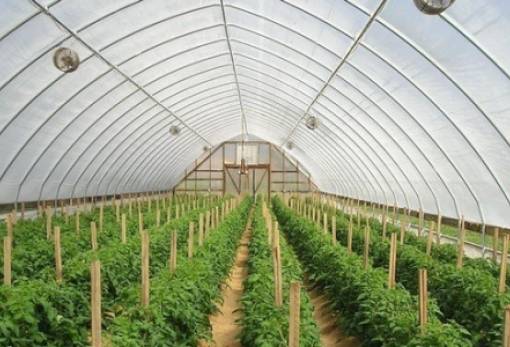 Υποχρεωτική συμμόρφωση θερμοκηπίων  με ρυθμιστικές απαιτήσεις έως το 2027