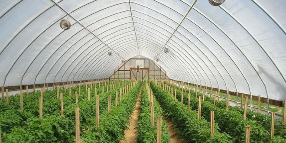 &Upsilon;&pi;&omicron;&chi;&rho;&epsilon;&omega;&tau;&iota;&kappa;ή &sigma;&upsilon;&mu;&mu;ό&rho;&phi;&omega;&sigma;&eta; &theta;&epsilon;&rho;&mu;&omicron;&kappa;&eta;&pi;ί&omega;&nu;  &mu;&epsilon; &rho;&upsilon;&theta;&mu;&iota;&sigma;&tau;&iota;&kappa;έ&sigmaf; &alpha;&pi;&alpha;&iota;&tau;ή&sigma;&epsilon;&iota;&sigmaf; έ&omega;&sigmaf; &tau;&omicron; 2027