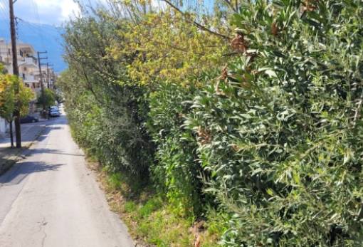 Δήμος Σπάρτης για διάνοιξη Θερμοπυλών: «Επίλογος!»