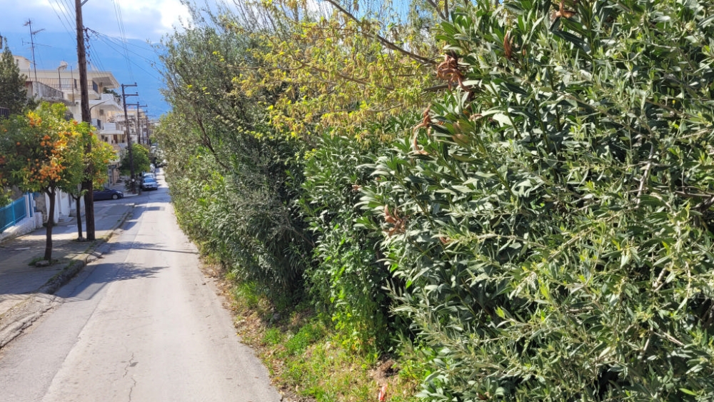 &Delta;ή&mu;&omicron;&sigmaf; &Sigma;&pi;ά&rho;&tau;&eta;&sigmaf; &gamma;&iota;&alpha; &delta;&iota;ά&nu;&omicron;&iota;&xi;&eta; &Theta;&epsilon;&rho;&mu;&omicron;&pi;&upsilon;&lambda;ώ&nu;: &laquo;&Epsilon;&pi;ί&lambda;&omicron;&gamma;&omicron;&sigmaf;!&raquo;