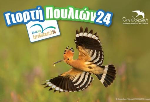 Μια γιορτή για φτερωτά ταξίδια χωρίς σύνορα