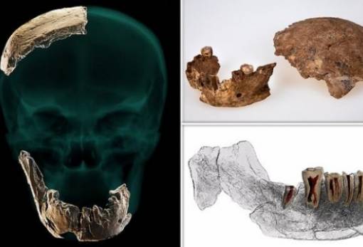 Nesher Ramla: Ανακαλύφθηκε στο Ισραήλ  ένας άγνωστος έως τώρα Homo