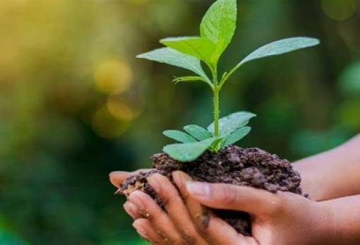 Ανακοίνωση του ΚΚΕ Λακωνίας για την Ημέρα Περιβάλλοντος