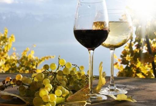 Έως 26 Ιουλίου οι αιτήσεις για την «Προώθηση οίνων σε Τρίτες Χώρες»