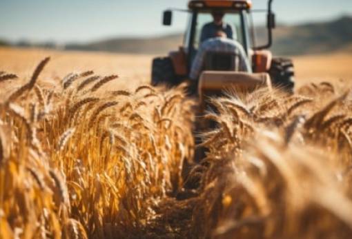 Συνδεδεμένες Ενισχύσεις: Τα ποσά σε φυτική και ζωική παραγωγή