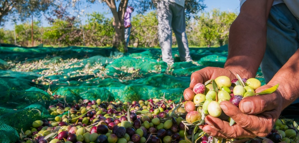 &Pi;&alpha;&gamma;&kappa;ό&sigma;&mu;&iota;&omicron; &sigma;ή&mu;&alpha; &Tau;&omicron;&upsilon;&rho;&iota;&sigma;&mu;&omicron;ύ &delta;&iota;&epsilon;&kappa;&delta;&iota;&kappa;&omicron;ύ&nu; &mu;&iota;&kappa;&rho;έ&sigmaf; &pi;&epsilon;&rho;&iota;&omicron;&chi;έ&sigmaf; &tau;&eta;&sigmaf; &Pi;&epsilon;&lambda;&omicron;&pi;&omicron;&nu;&nu;ή&sigma;&omicron;&upsilon;