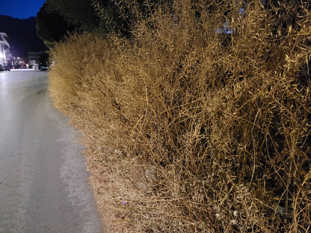 Έ&phi;&tau;&alpha;&sigma;&alpha;&nu; &sigma;&tau;&omicron;&nu; &delta;&rho;ό&mu;&omicron; &tau;&alpha; &xi;&epsilon;&rho;ό&chi;&omicron;&rho;&tau;&alpha;&hellip; (&Phi;&Omega;&Tau;&Omicron;)