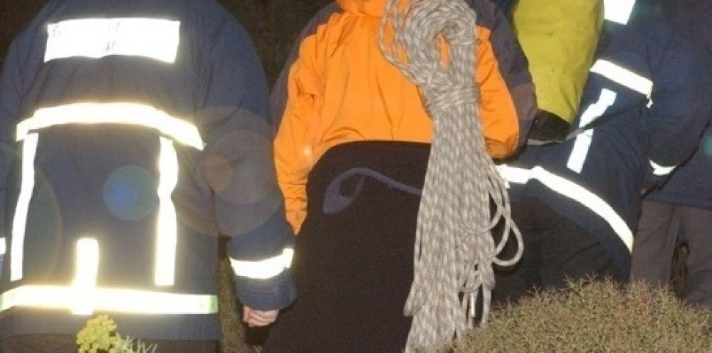 &Sigma;&tau;&omicron; &pi;&upsilon;&kappa;&nu;ό &delta;ά&sigma;&omicron;&sigmaf; &tau;&eta;&sigmaf; &Tau;&alpha;ϋ&gamma;έ&tau;&eta;&sigmaf; &epsilon;&nu;&tau;&omicron;&pi;ί&sigma;&tau;&eta;&kappa;&epsilon; &sigma;ώ&alpha; &eta; &alpha;&gamma;&nu;&omicron;&omicron;ύ&mu;&epsilon;&nu;&eta; &alpha;&pi;ό &tau;&eta; &Sigma;&pi;ά&rho;&tau;&eta;