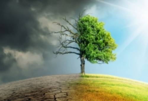 Απέτυχες ανθρωπότητα να προστατεύσεις τον παράδεισό σου