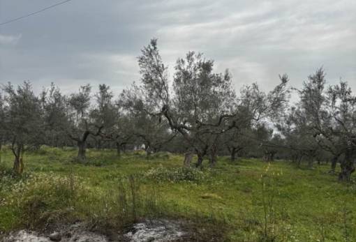 Το δικό σας σχόλιο: «Σιγά μην ιδρώσει το αυτί των ανευθυνοϋπευθύνων»