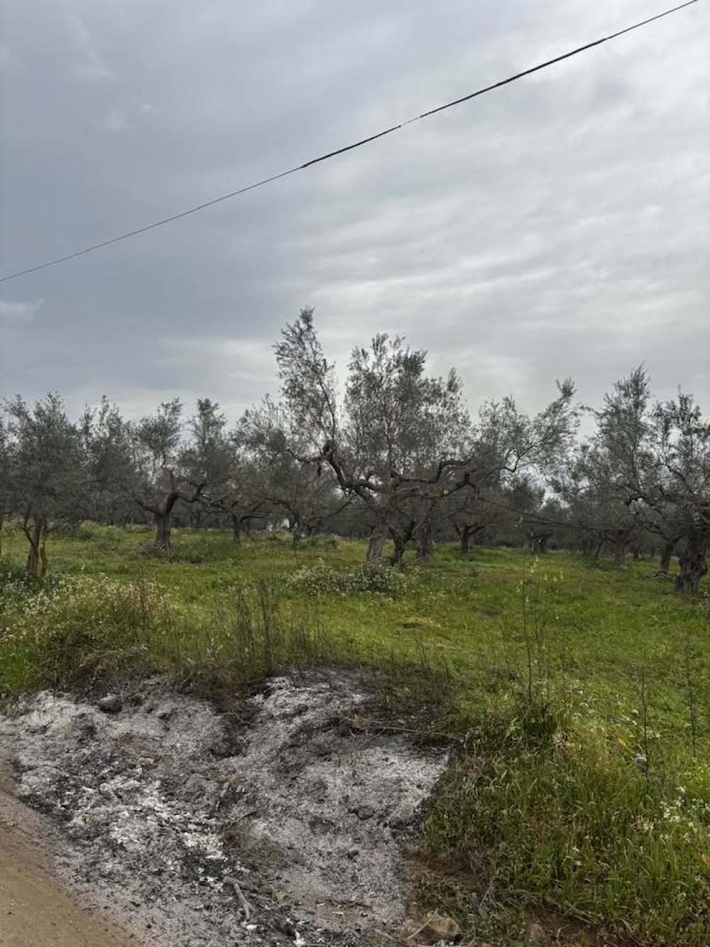 &Tau;&omicron; &delta;&iota;&kappa;ό &sigma;&alpha;&sigmaf; &sigma;&chi;ό&lambda;&iota;&omicron;: &laquo;&Sigma;&iota;&gamma;ά &mu;&eta;&nu; &iota;&delta;&rho;ώ&sigma;&epsilon;&iota; &tau;&omicron; &alpha;&upsilon;&tau;ί &tau;&omega;&nu; &alpha;&nu;&epsilon;&upsilon;&theta;&upsilon;&nu;&omicron;ϋ&pi;&epsilon;&upsilon;&theta;ύ&nu;&omega;&nu;&raquo;