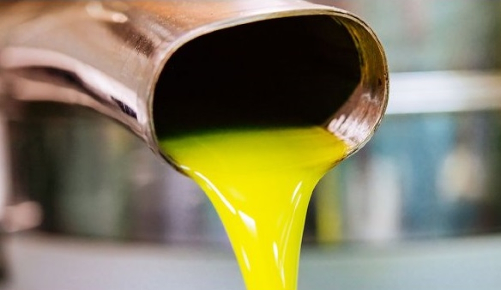 &Delta;&iota;&alpha;&pi;ί&sigma;&tau;&epsilon;&upsilon;&sigma;&eta; &omega;&sigmaf; &Phi;&omicron;&rho;έ&alpha;&sigmaf; &Pi;&iota;&sigma;&tau;&omicron;&pi;&omicron;ί&eta;&sigma;&eta;&sigmaf; &Epsilon;&lambda;&alpha;&iota;&omicron;&lambda;ά&delta;&omicron;&upsilon; &delta;&iota;&epsilon;&kappa;&delta;&iota;&kappa;&epsilon;ί &tau;&omicron; &Epsilon;&pi;&iota;&mu;&epsilon;&lambda;&eta;&tau;ή&rho;&iota;&omicron;