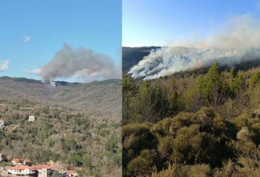 Πυρκαγιά στον Πάρνωνα, βόρεια των Καρυών