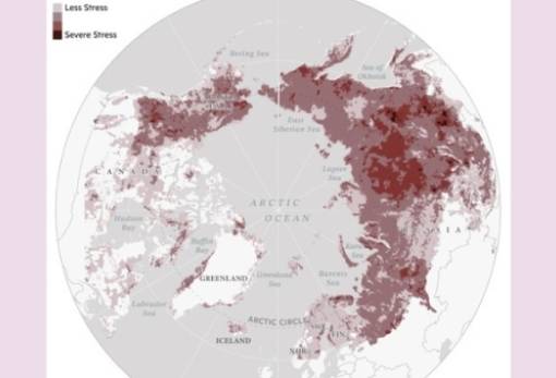 Μελέτη εντοπίζει περιοχές σε Αλάσκα και Σιβηρία που έχουν υποστεί «κλιματικό στρες»