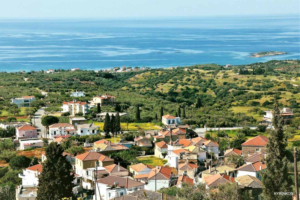 &Pi;&lambda;&omicron;ύ&sigma;&iota;&epsilon;&sigmaf; &delta;&rho;&alpha;&sigma;&tau;&eta;&rho;&iota;ό&tau;&eta;&tau;&epsilon;&sigmaf; &omicron;&rho;&gamma;&alpha;&nu;ώ&nu;&epsilon;&iota;  &omicron; &Pi;&omicron;&lambda;&iota;&tau;&iota;&sigma;&tau;&iota;&kappa;ό&sigmaf; &Sigma;ύ&lambda;&lambda;&omicron;&gamma;&omicron;&sigmaf; &Epsilon;&lambda;ί&kappa;&alpha;&sigmaf;