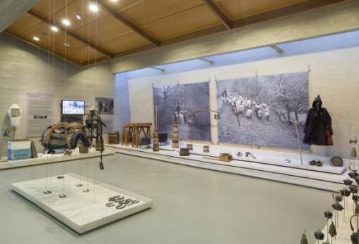 «Η αποφασιστική στιγμή»: Φωτογραφικό εργαστήρι στο Μουσείο Περιβάλλοντος Στυμφαλίας