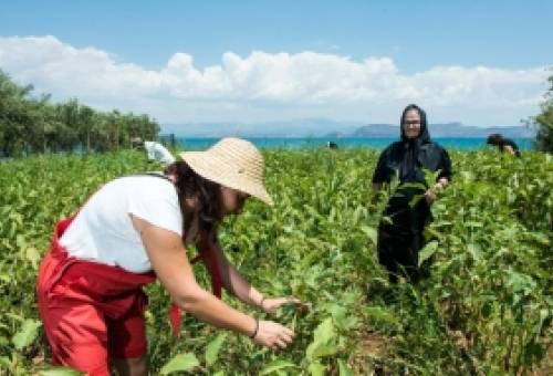 Η αγρότισσα δεν ζητά ελεημοσύνη, ζητά δικαιοσύνη