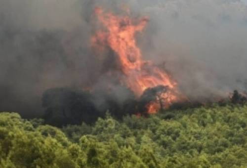 Εμπρησμός από αμέλεια η φωτιά που ξέσπασε στον Ταΰγετο