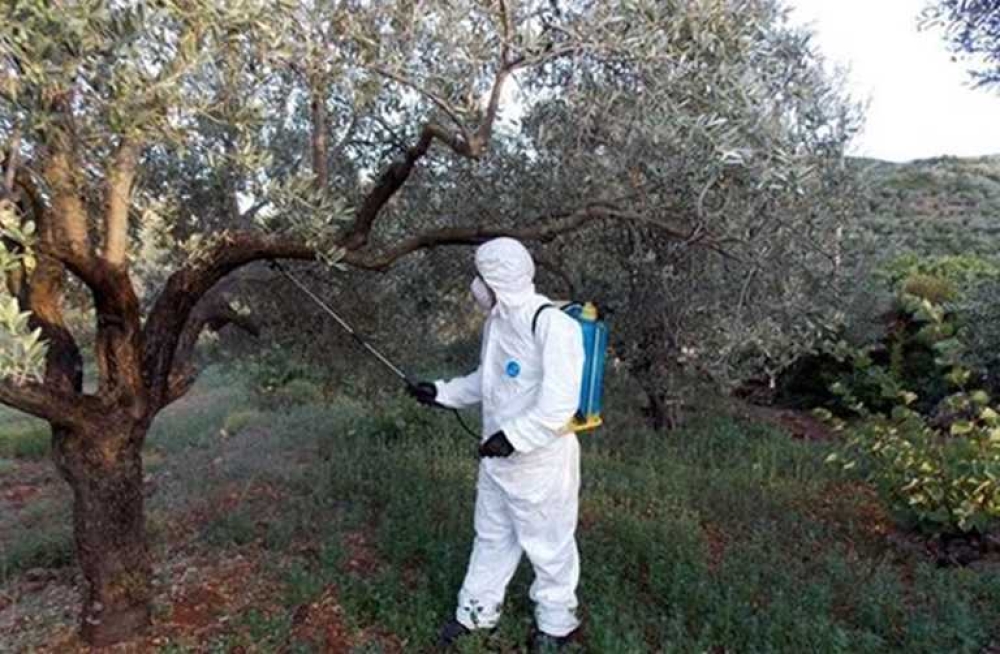 &Alpha;&rho;&chi;ί&zeta;&epsilon;&iota; &tau;&omicron; &laquo;&kappa;&upsilon;&nu;ή&gamma;&iota;&raquo; &tau;&omicron;&upsilon; &delta;ά&kappa;&omicron;&upsilon; &sigma;&tau;&omicron; &Gamma;&epsilon;&rho;ά&kappa;&iota;