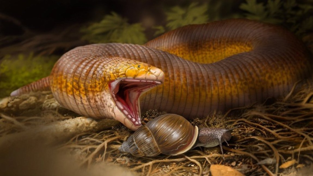 &Nu;έ&omicron; &epsilon;ί&delta;&omicron;&sigmaf; &epsilon;&rho;&pi;&epsilon;&tau;&omicron;ύ 50 &epsilon;&kappa;&alpha;&tau;&omicron;&mu;&mu;&upsilon;&rho;ί&omega;&nu; &epsilon;&tau;ώ&nu; &omicron;&nu;&omicron;&mu;ά&sigma;&tau;&eta;&kappa;&epsilon; &laquo;&Tau;&epsilon;&rho;&alpha;&sigma;&tau;&iota;&omicron;&delta;&omicron;&nu;&tau;ό&sigma;&alpha;&upsilon;&rho;&omicron;&sigmaf;&raquo; &alpha;&pi;ό Έ&lambda;&lambda;&eta;&nu;&alpha; &pi;&alpha;&lambda;&alpha;&iota;&omicron;&nu;&tau;&omicron;&lambda;ό&gamma;&omicron;