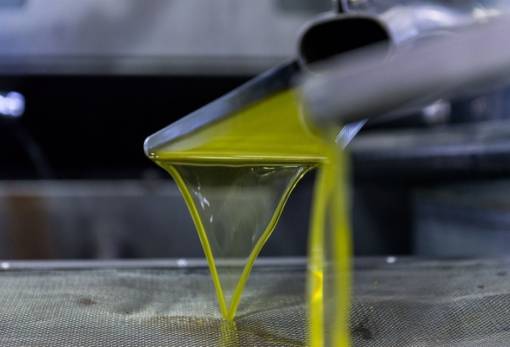 «Χρυσό» το πρώτο ντιλ για το ελαιόλαδο στη Λακωνία