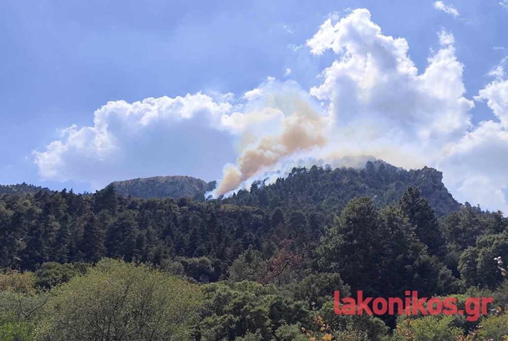 &Epsilon;&pi;&iota;&kappa;ί&nu;&delta;&upsilon;&nu;&eta; &phi;&omega;&tau;&iota;ά &sigma;&epsilon; &delta;ύ&sigma;&beta;&alpha;&tau;&omicron; &sigma;&eta;&mu;&epsilon;ί&omicron; &sigma;&tau;&eta; &Sigma;&omicron;&chi;ά &Tau;&alpha;ϋ&gamma;έ&tau;&omicron;&upsilon; (&Phi;&Omega;&Tau;&Omicron;)