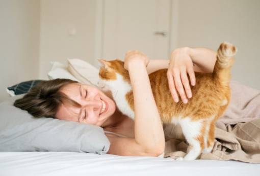 Πώς η γάτα δείχνει ότι σας αγαπά