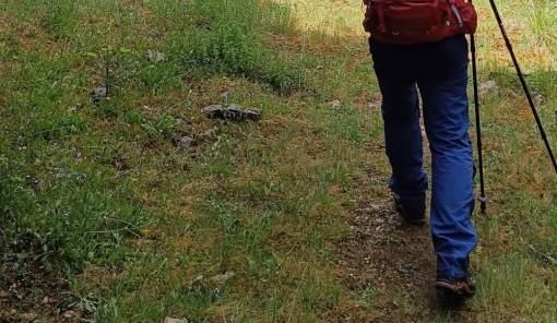 &Epsilon;&xi;ό&rho;&mu;&eta;&sigma;&eta; &tau;&omicron;&upsilon; &Epsilon;&Omicron;&Sigma; &Mu;&omicron;&lambda;ά&omega;&nu;-&Nu;&Alpha; &Lambda;&alpha;&kappa;&omega;&nu;ί&alpha;&sigmaf; &sigma;&tau;&omicron; &beta;&alpha;&tau;&iota;&kappa;&iota;ώ&tau;&iota;&kappa;&omicron; &mu;&omicron;&nu;&omicron;&pi;ά&tau;&iota; &pi;&omicron;&upsilon; &laquo;&nu;ί&kappa;&eta;&sigma;&epsilon;&raquo; &tau;&eta; &lambda;ή&theta;&eta;