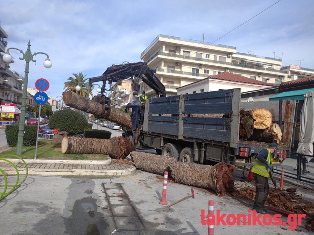 &Alpha;&nu; ό&chi;&iota; &phi;&omicron;ί&nu;&iota;&kappa;&epsilon;&sigmaf;, &tau;ό&tau;&epsilon; &tau;&iota;;