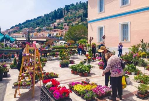 Η Άνοιξη ανθίζει με χρώματα και αρώματα στο Γύθειο