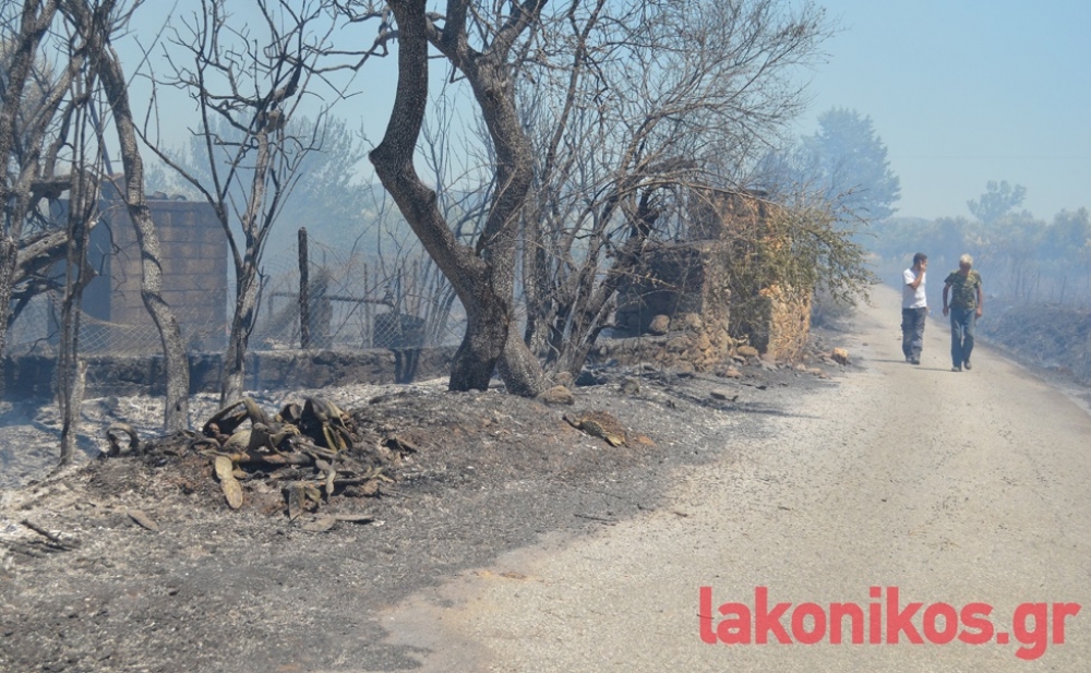 &Sigma;&chi;&epsilon;&delta;ό&nu; 100 &sigma;&tau;&rho;έ&mu;&mu;&alpha;&tau;&alpha; &sigma;&tau;ά&chi;&tau;&eta; &alpha;&pi;ό &tau;&eta; &phi;&omega;&tau;&iota;ά &sigma;&tau;&eta;&nu; &Pi;&alpha;&lambda;&alpha;&iota;&omicron;&pi;&alpha;&nu;&alpha;&gamma;&iota;ά