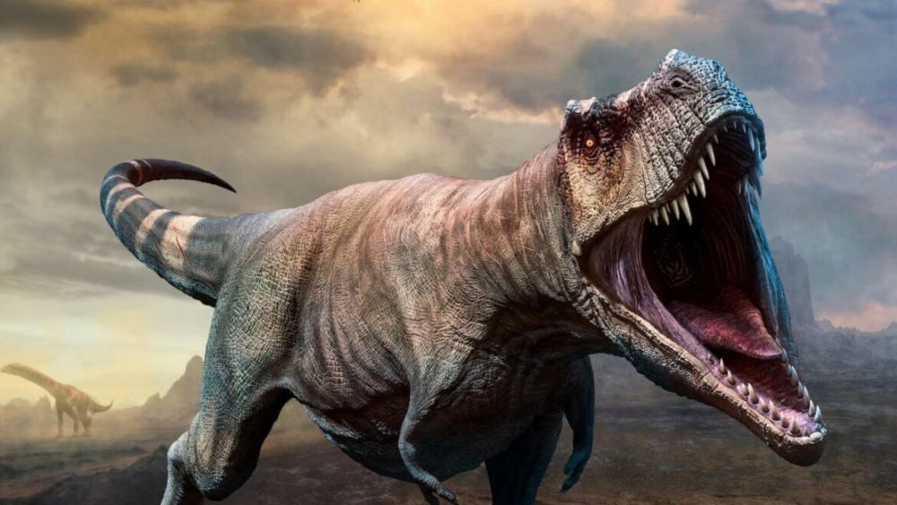 Ό&tau;&alpha;&nu; &omicron;&iota; &tau;&upsilon;&rho;&alpha;&nu;&nu;ό&sigma;&alpha;&upsilon;&rho;&omicron;&iota; &pi;&epsilon;&rho;&nu;&omicron;ύ&sigma;&alpha;&nu;  &tau;&omicron;&upsilon;&sigmaf; &chi;&epsilon;&iota;&mu;ώ&nu;&epsilon;&sigmaf; &sigma;&tau;&eta;&nu; &Alpha;&rho;&kappa;&tau;&iota;&kappa;ή