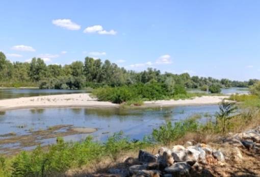 Ο αυτόματος είναι γυμνός!